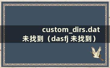 custom_dirs.dat 未找到（dasfj 未找到）